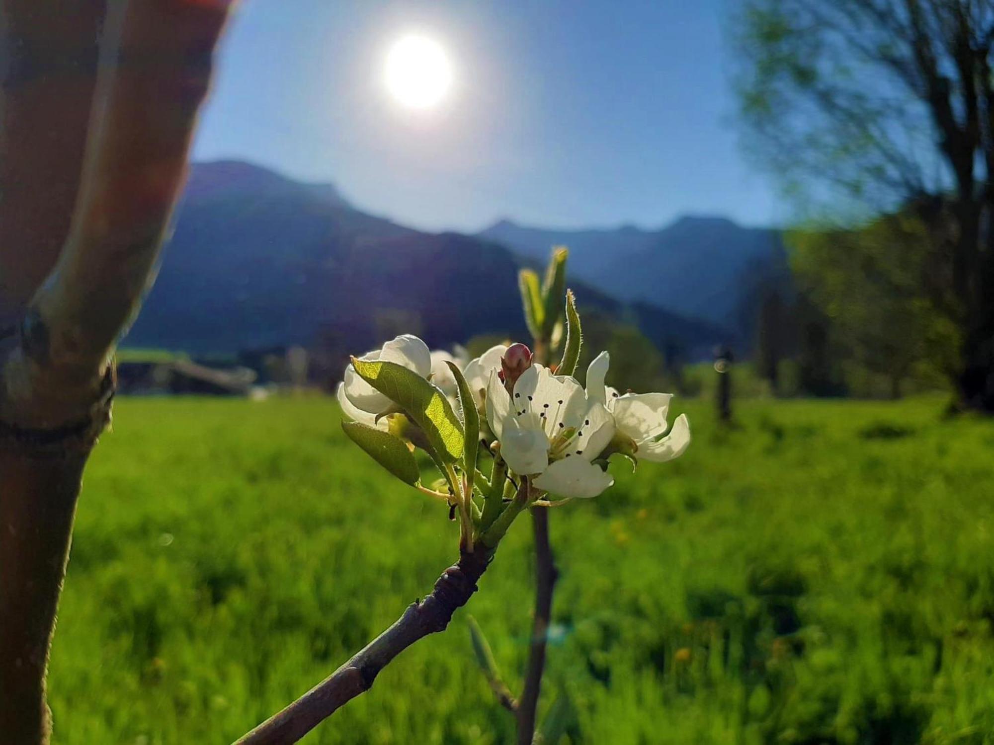 Pulvererhof Achenkirch Kültér fotó